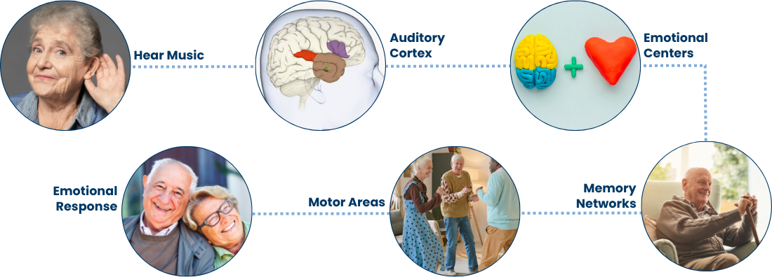 Flow from Hear Music to Auditory Cortex to Emotional Centers, then Emotional Response, Motor Areas, and Memory Networks
