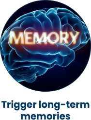 Trigger long-term memories